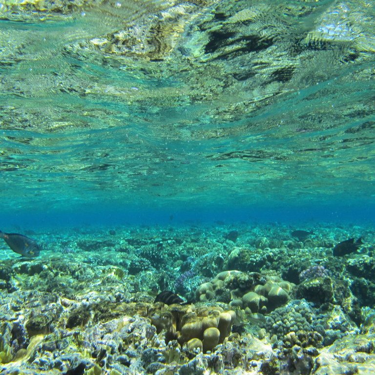 Clear turquoise water over a coral reef crest in the Red Sea